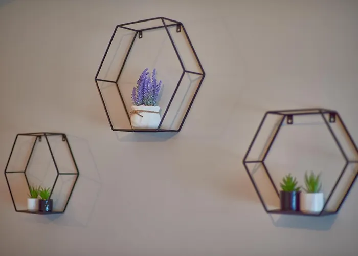 Daire Velvet Kaloşvar